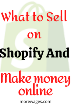 How to make money on shopify