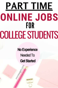 online jobs for college students with no experience.Any one can start these jobs immediately and earn extra income from home doing these part time flexible online jobs