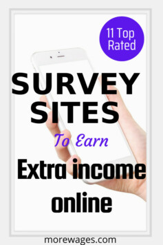 top rated survey sites to earn extra income online at your convenient time