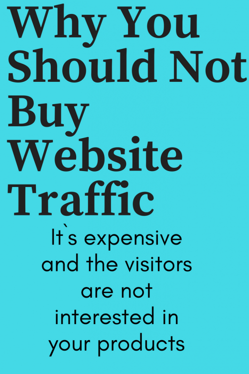 why buy website traffic?