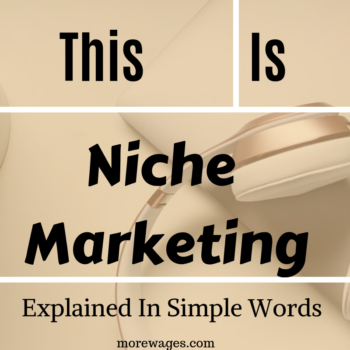 What is niche marketing about? First you need to understand what a niche is before you can move on to niche marketing and this post will explain in simple easy to understand what a niche is.